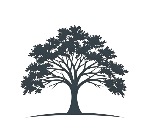 tillmanwatsoncemetery.com